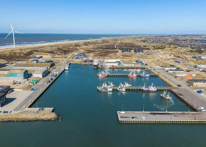 別荘 786-hvide-sande-vinbjergvej-8 *